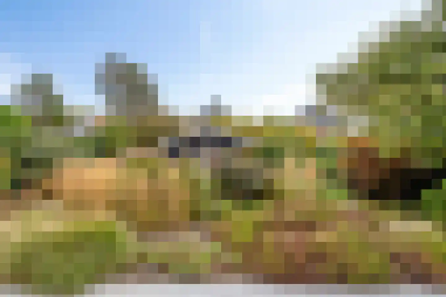 Floraronde 9 Uitgeest thumbnail 49