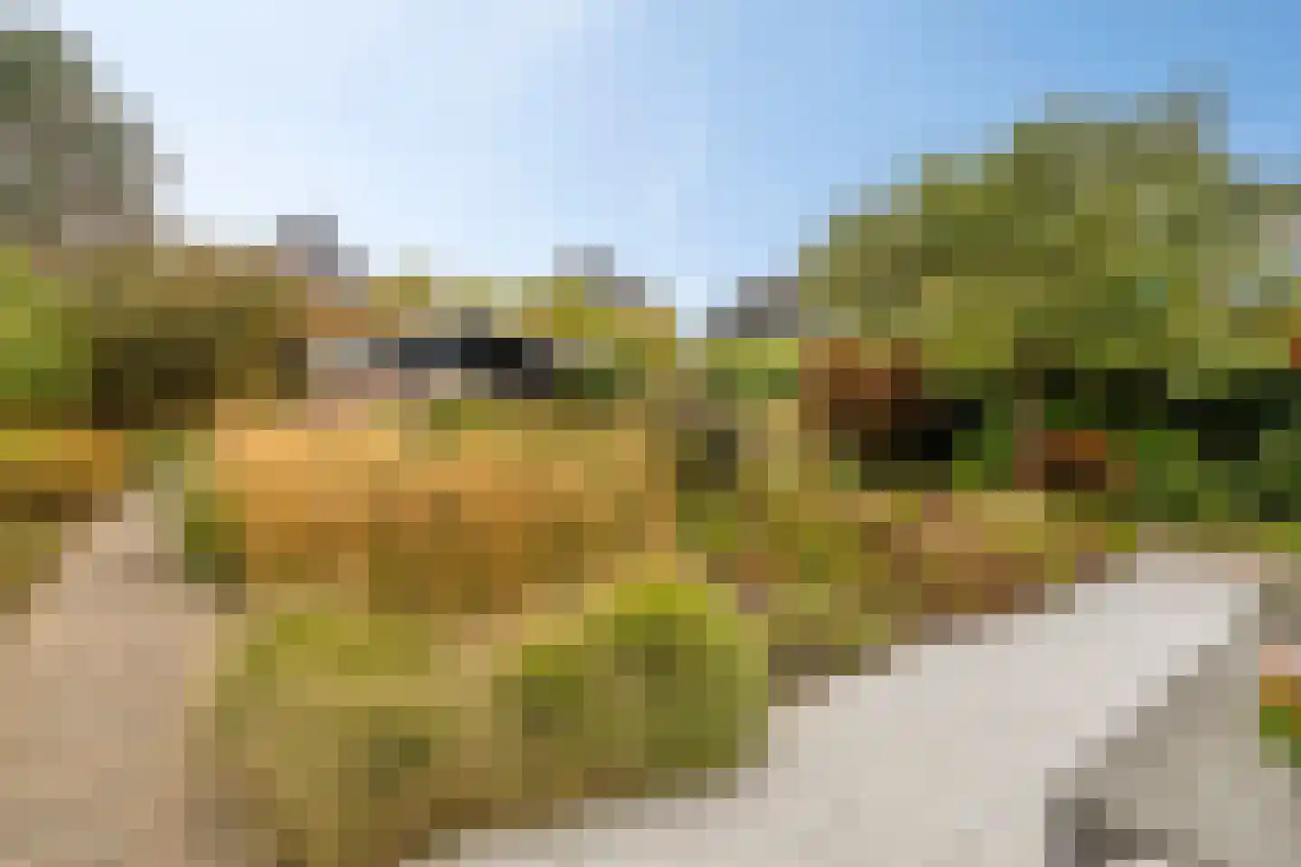 Floraronde 9 Uitgeest thumbnail 50