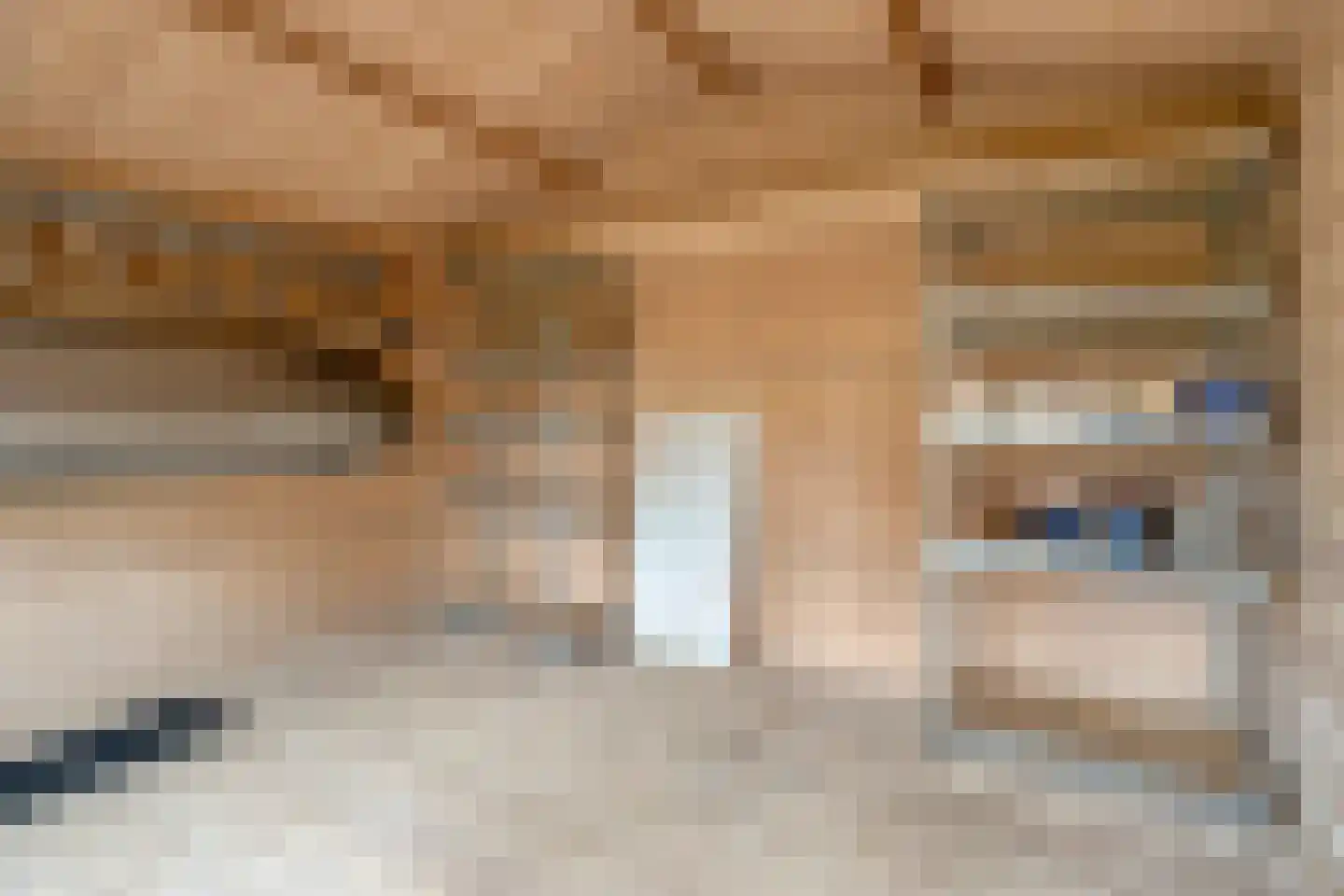 Floraronde 9 Uitgeest thumbnail 52