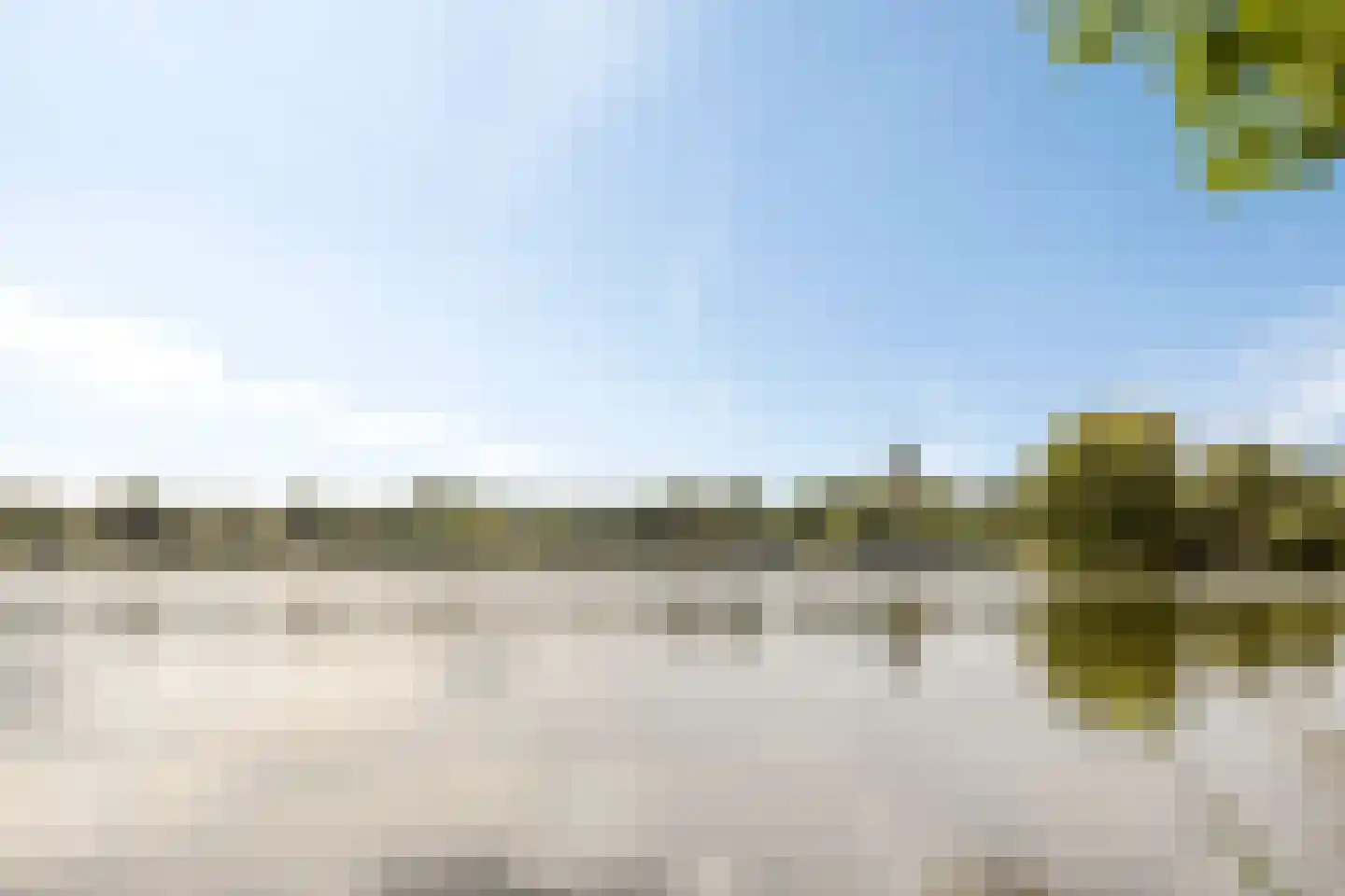 Floraronde 9 Uitgeest thumbnail 61