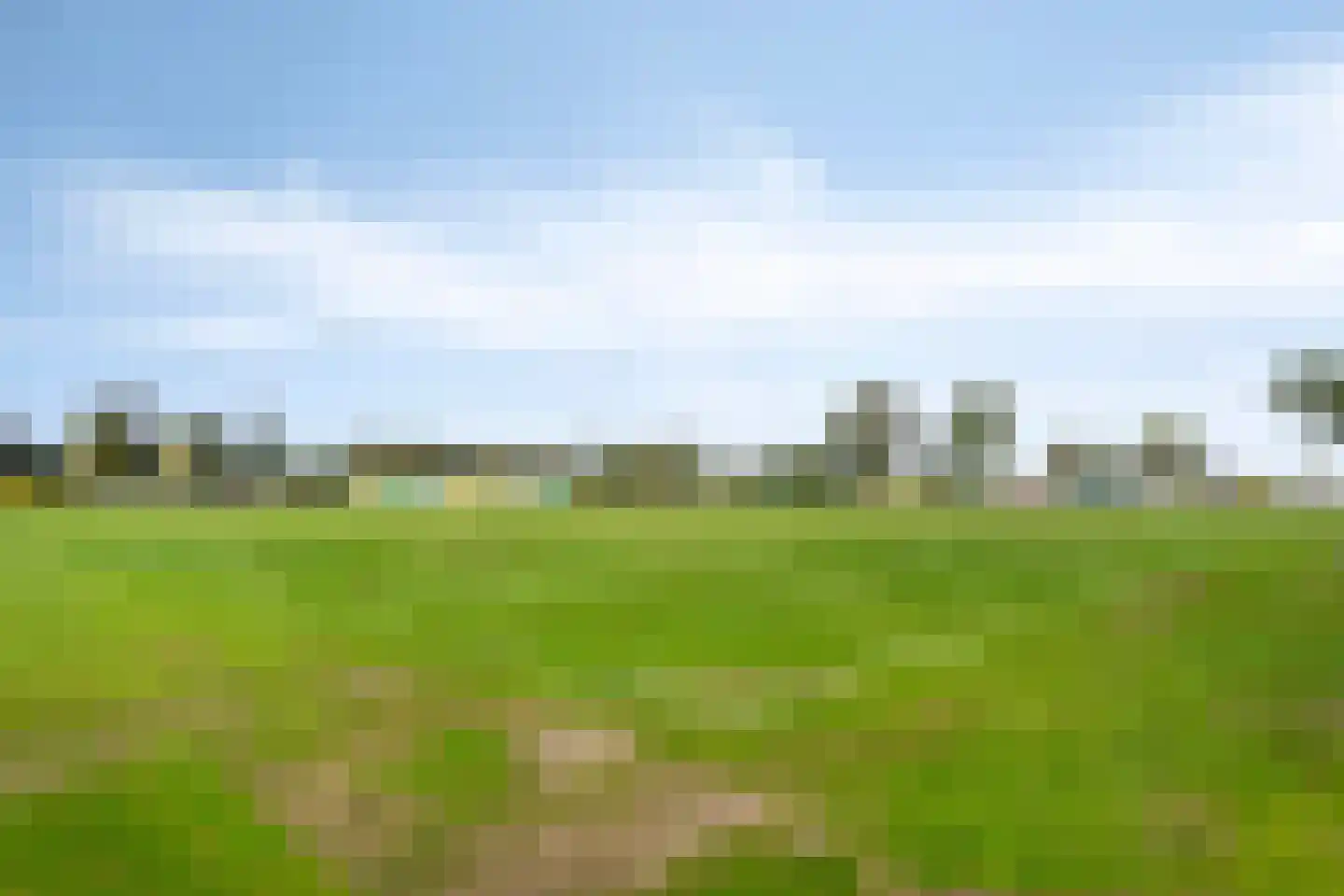 Floraronde 9 Uitgeest thumbnail 62