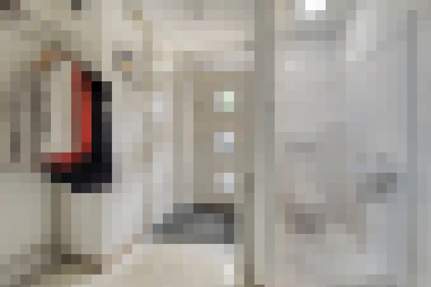 Floraronde 9 Uitgeest thumbnail 9