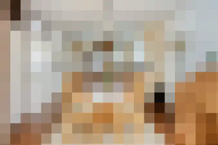 Florasingel 33 Roermond thumbnail 13