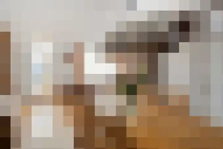 Florasingel 33 Roermond thumbnail 15