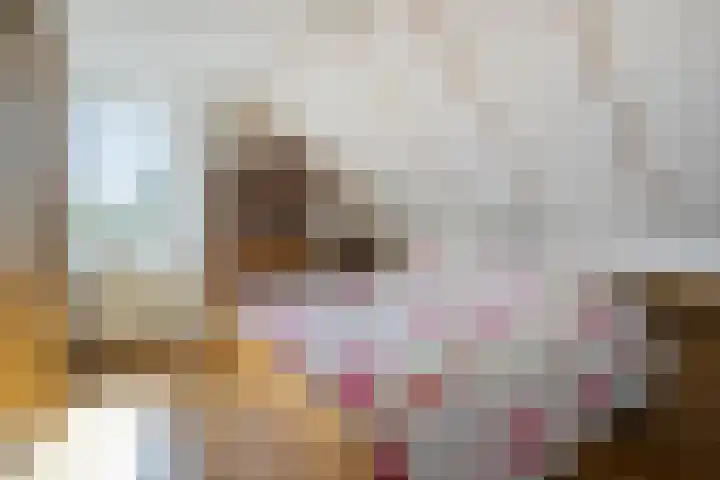 Florasingel 33 Roermond thumbnail 23