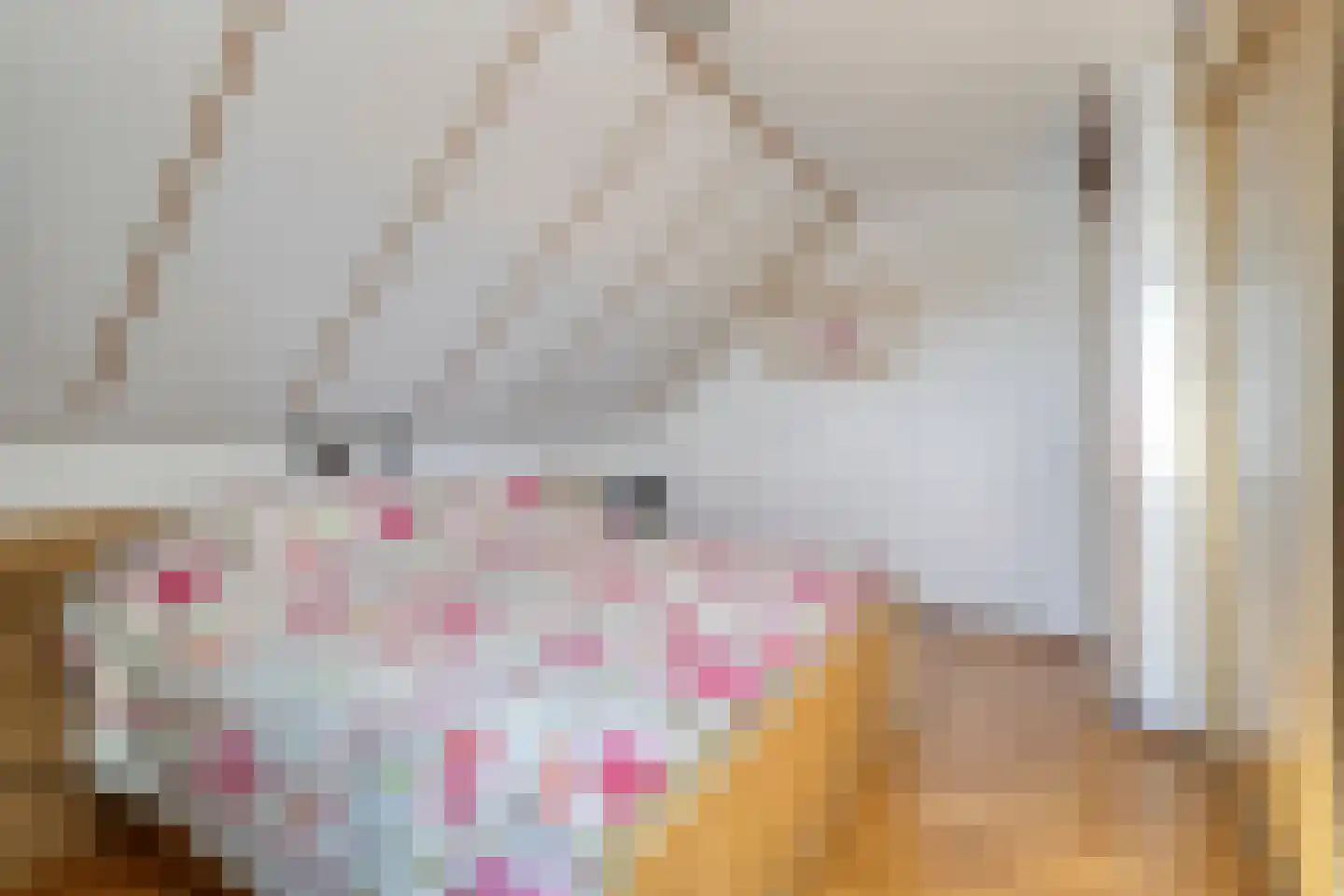 Florasingel 33 Roermond thumbnail 24