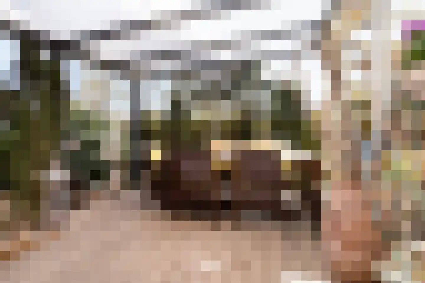 Florasingel 33 Roermond thumbnail 30