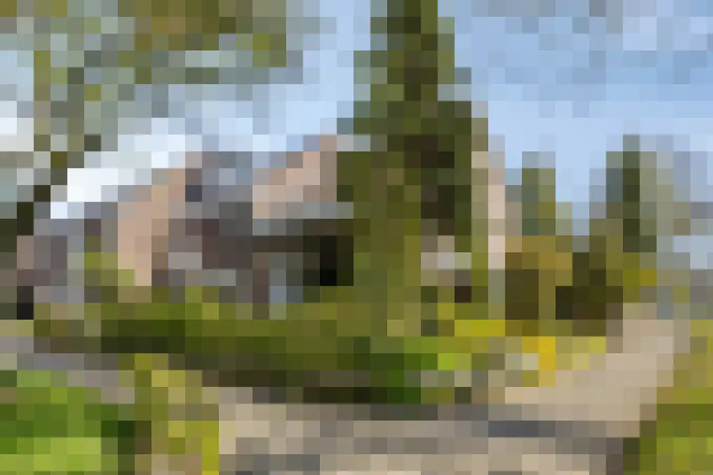 Florasingel 33 Roermond thumbnail 38