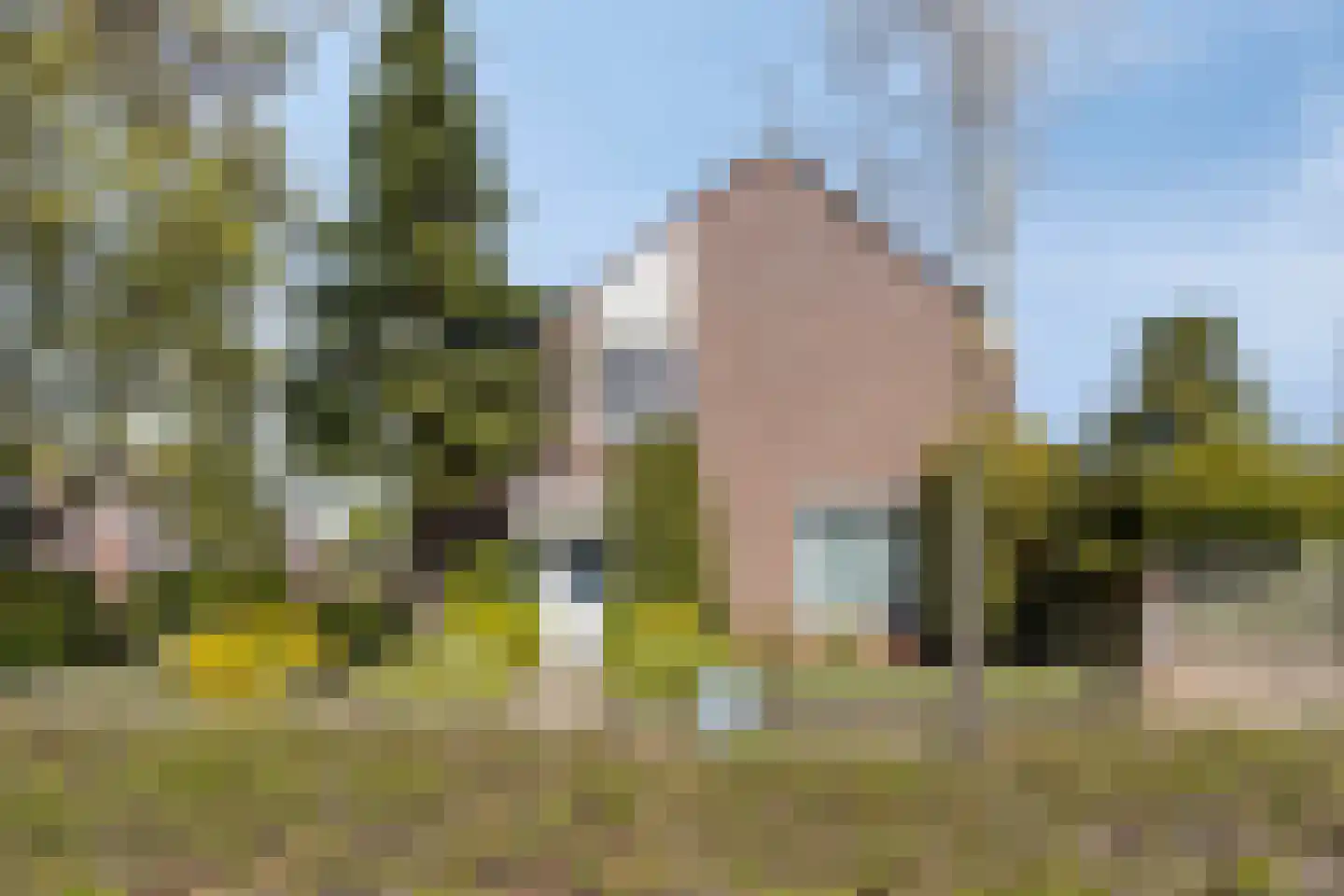 Florasingel 33 Roermond thumbnail 39