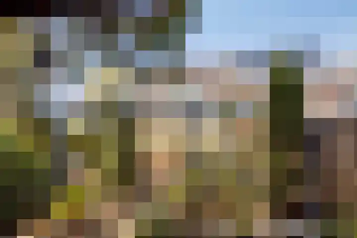 Florasingel 33 Roermond thumbnail 4