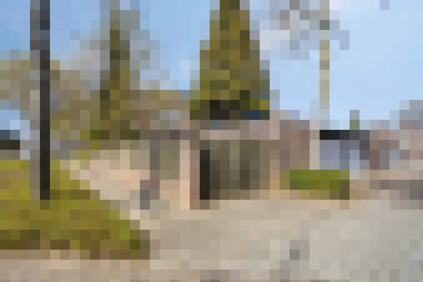 Florasingel 33 Roermond thumbnail 41