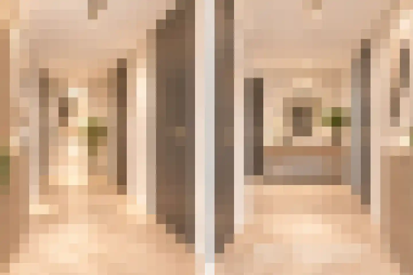 Florastate 11 Eindhoven thumbnail 11