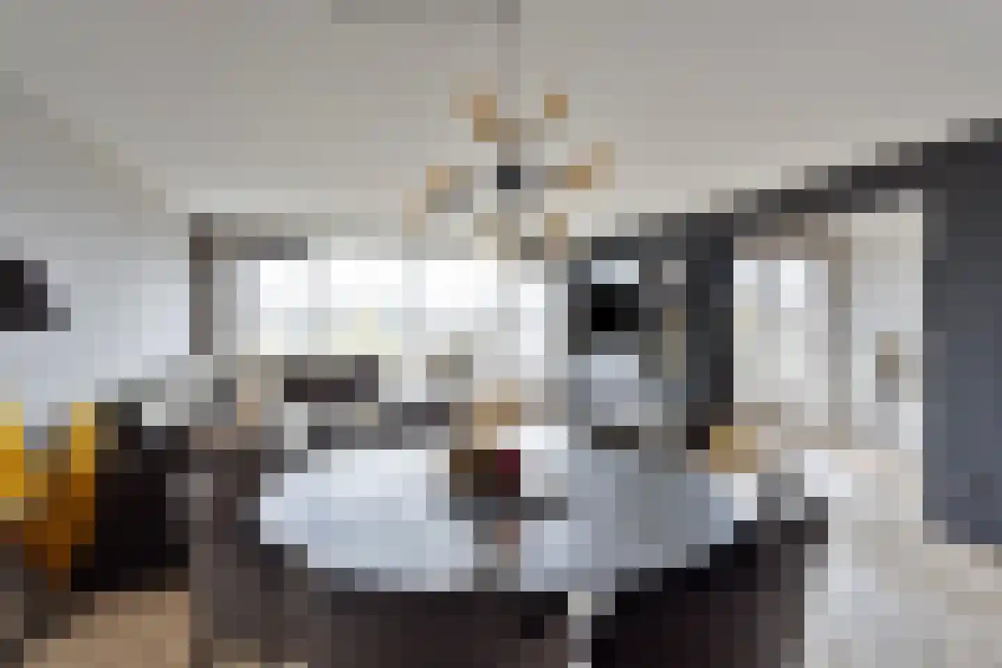Florastate 11 Eindhoven thumbnail 13