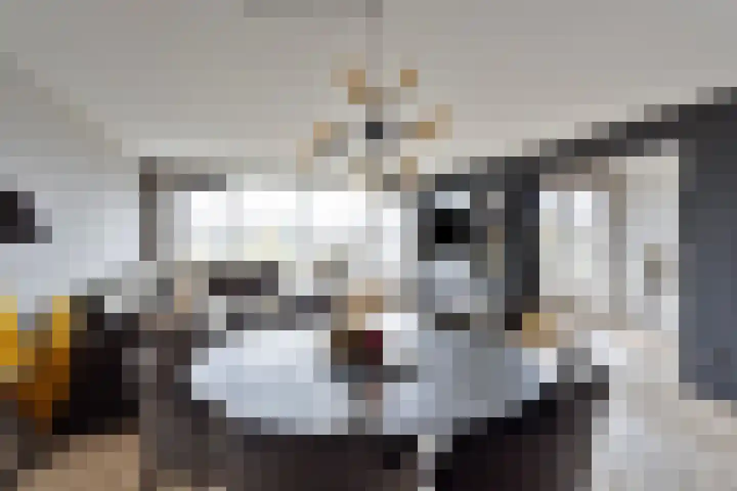 Florastate 11 Eindhoven thumbnail 14