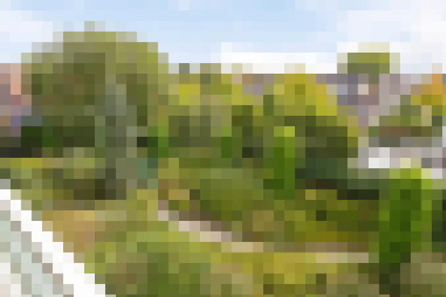 Florastate 11 Eindhoven thumbnail 22