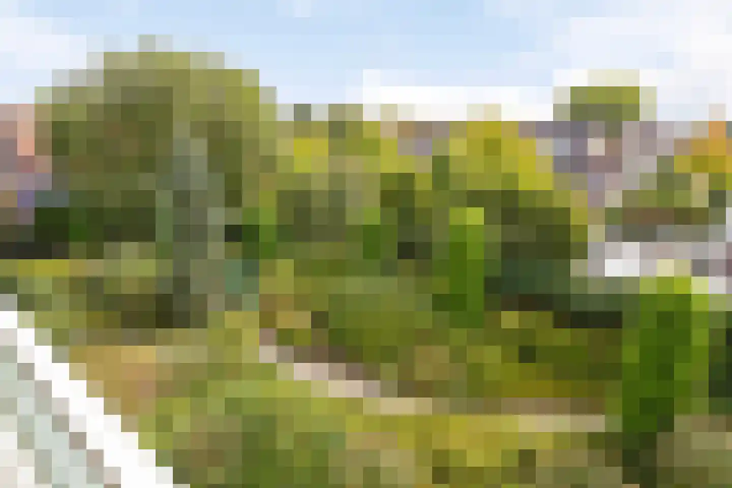 Florastate 11 Eindhoven thumbnail 25