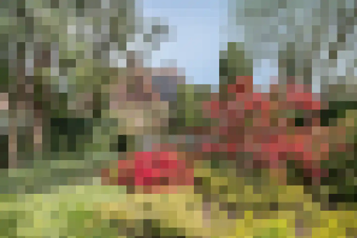 Florastate 11 Eindhoven thumbnail 33