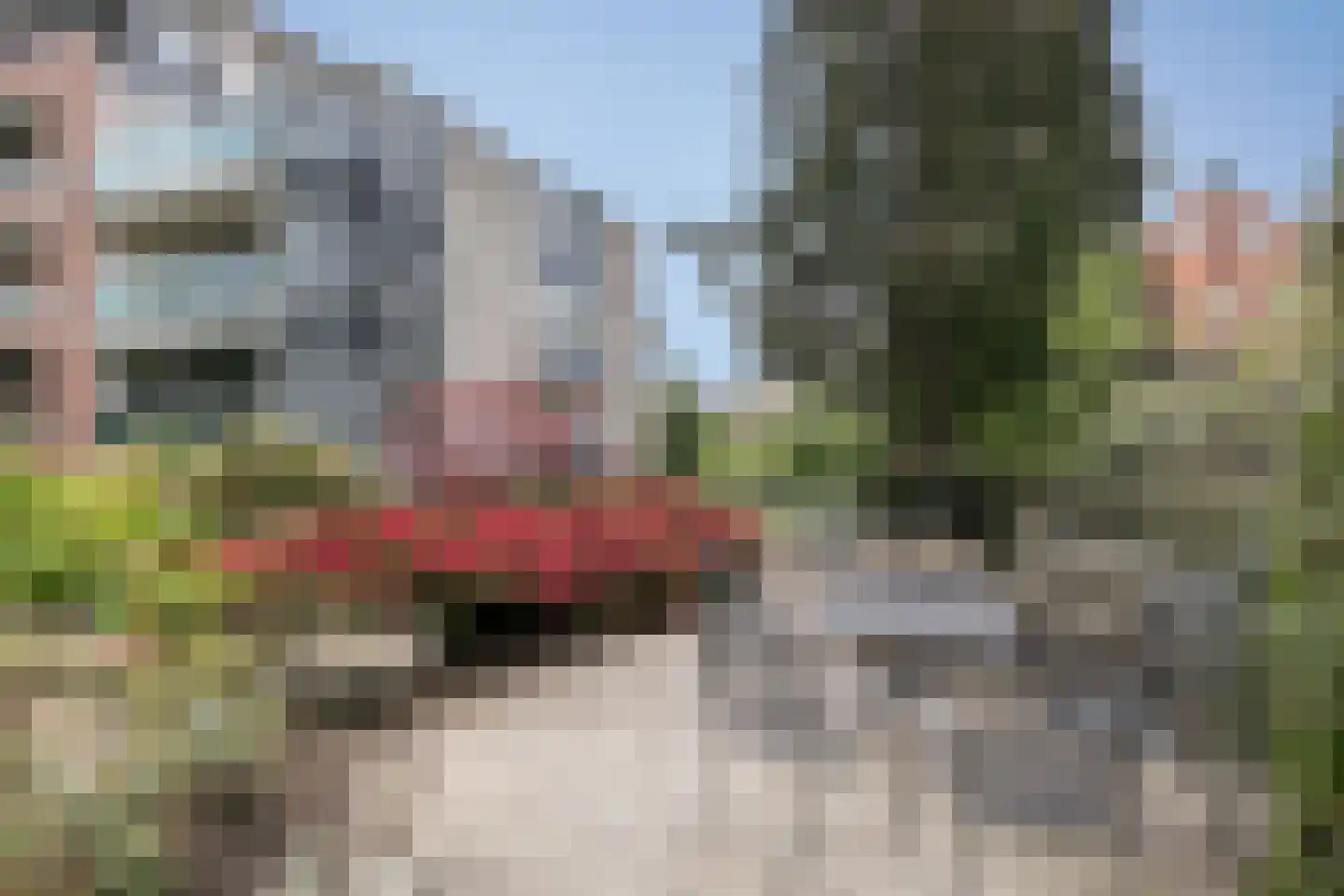 Florastate 11 Eindhoven thumbnail 34