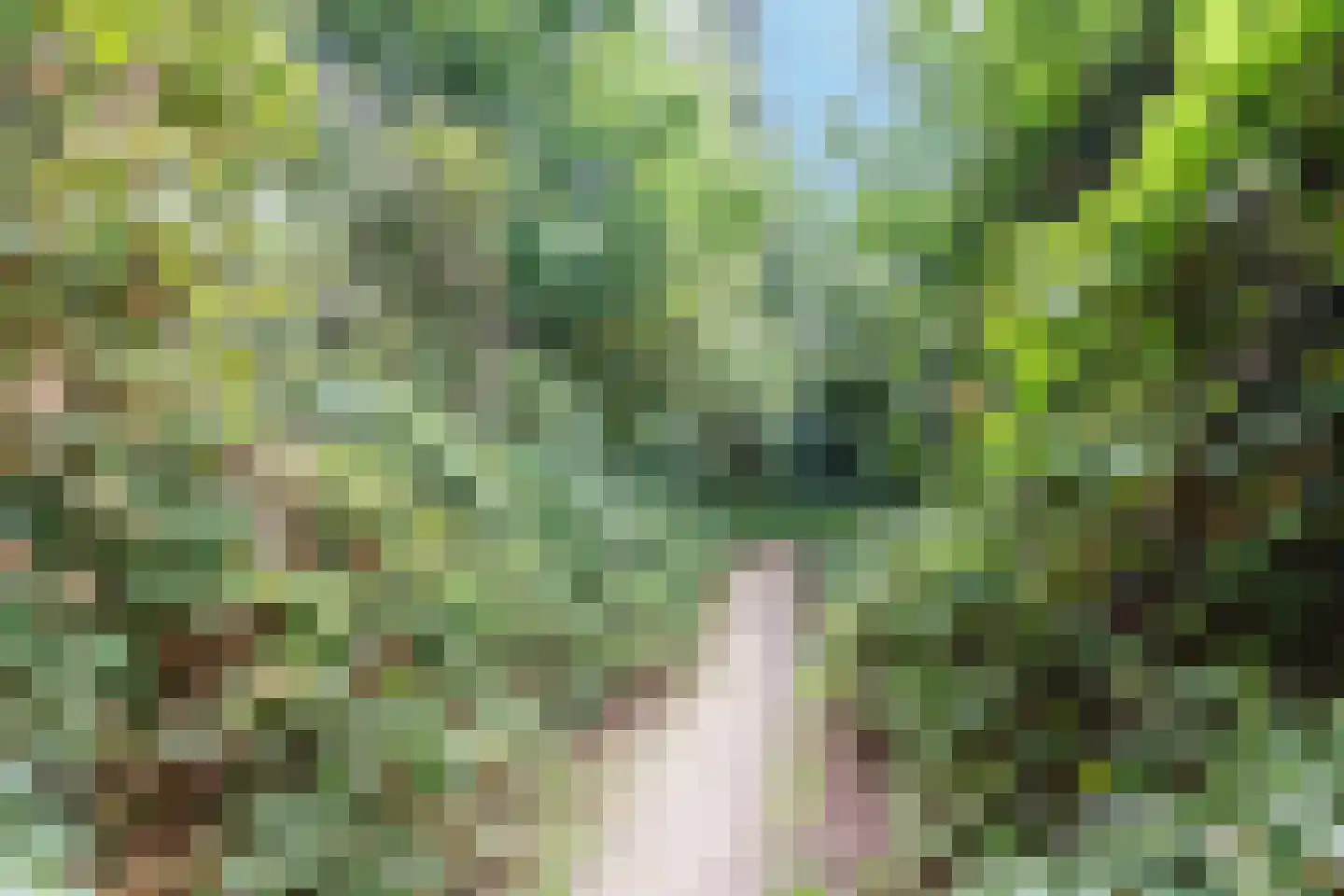 Florastate 11 Eindhoven thumbnail 35