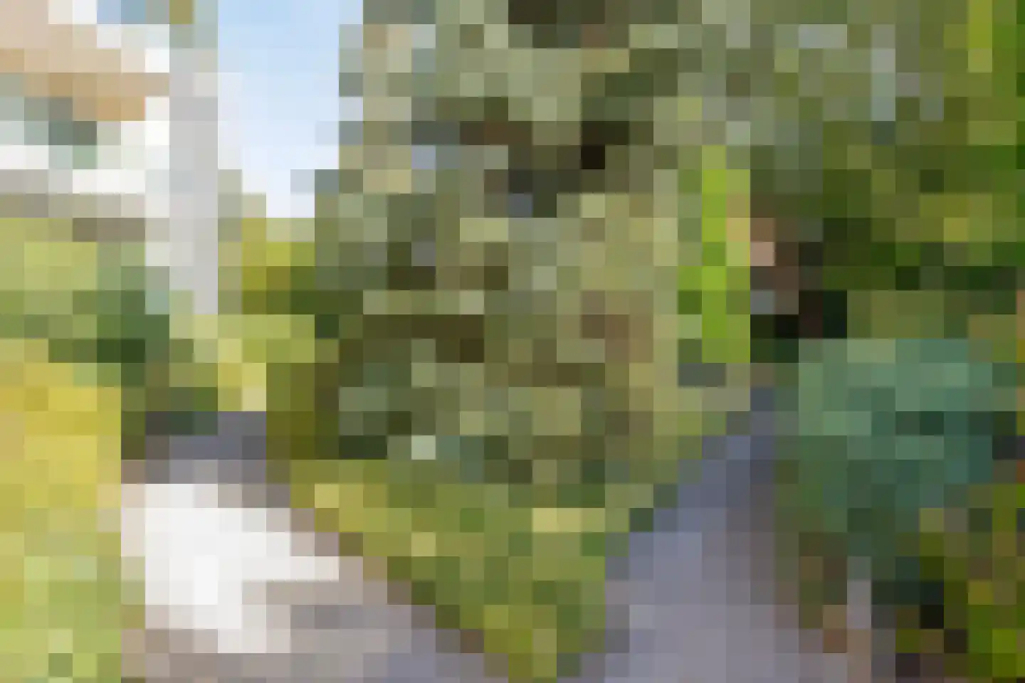 Florastate 11 Eindhoven thumbnail 35
