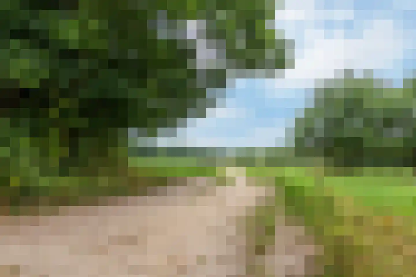 Florastate 11 Eindhoven thumbnail 36