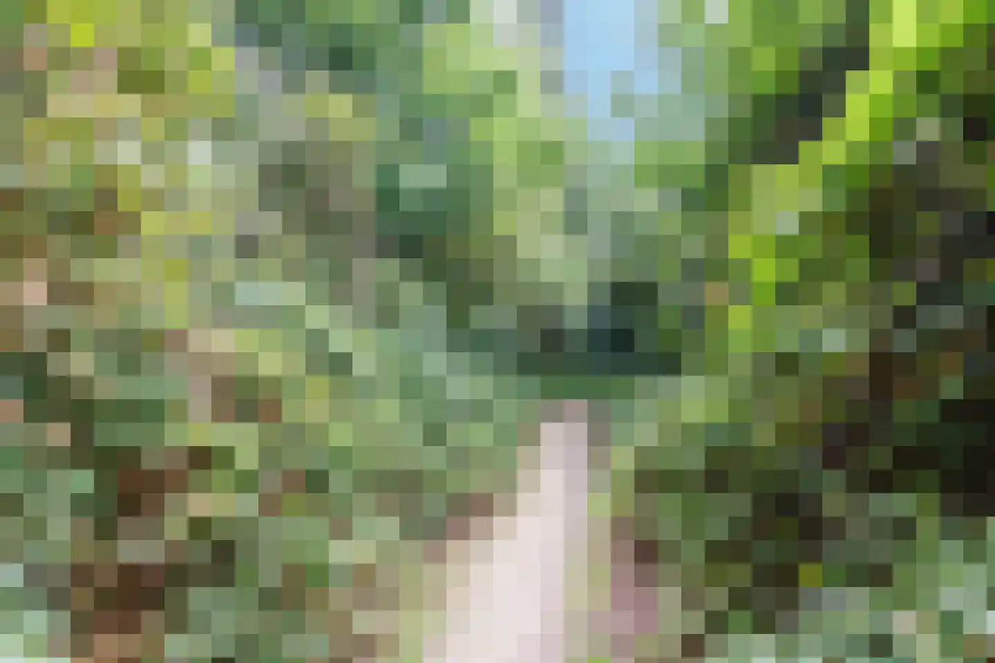 Florastate 11 Eindhoven thumbnail 37