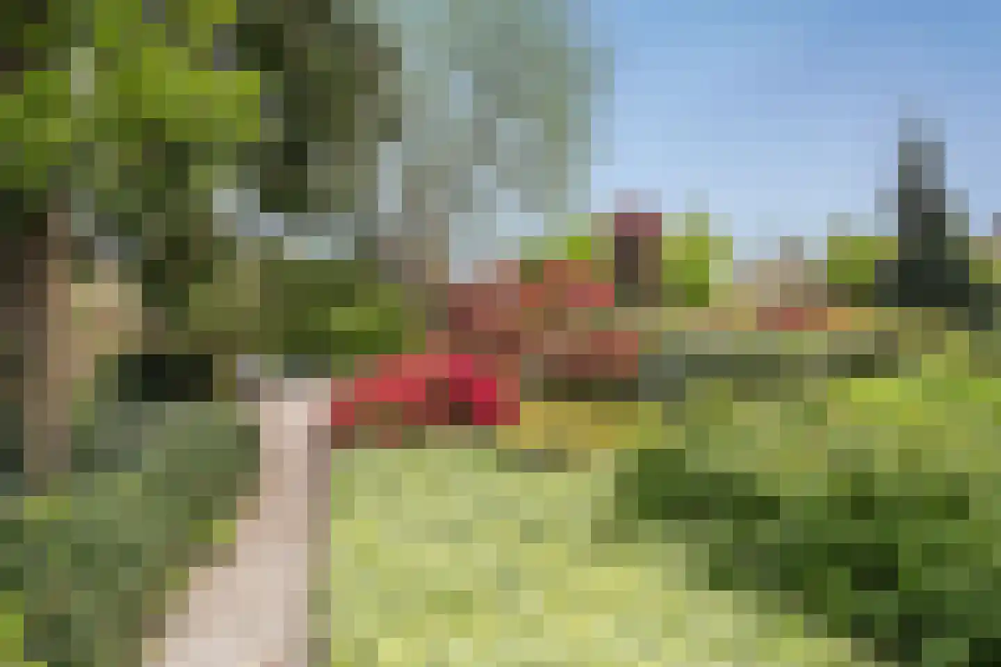 Florastate 11 Eindhoven thumbnail 4