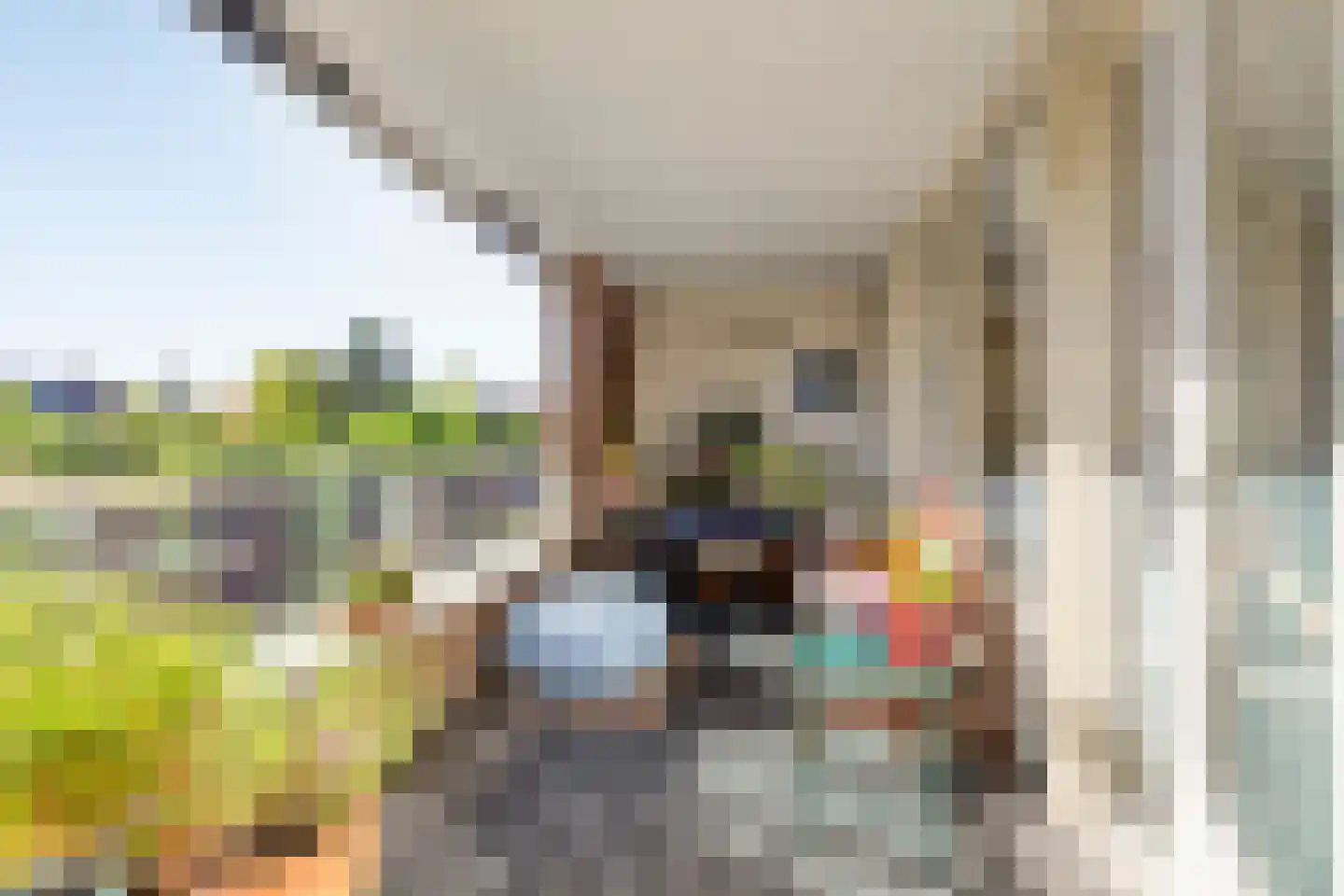 Florastate 21 Eindhoven thumbnail 27