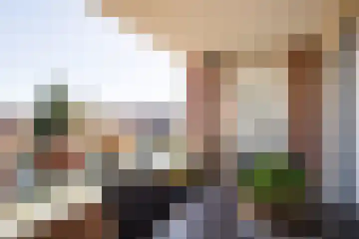 Florastate 38 Eindhoven thumbnail 17