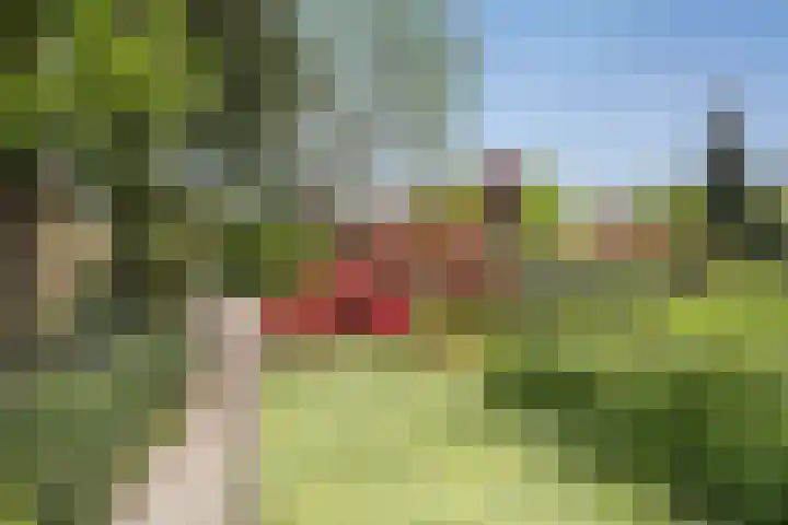 Florastate 38 Eindhoven thumbnail 30