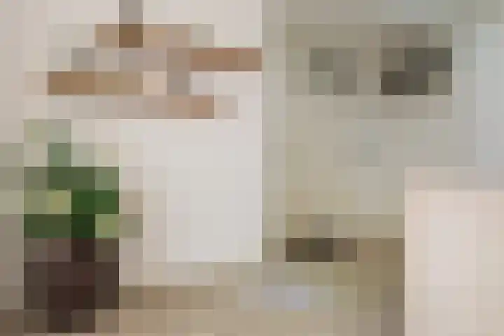 Florastate 38 Eindhoven thumbnail 7
