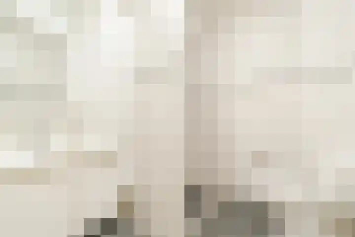 Florastate 4 Eindhoven thumbnail 21