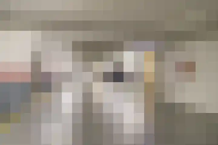 Florastate 4 Eindhoven thumbnail 27