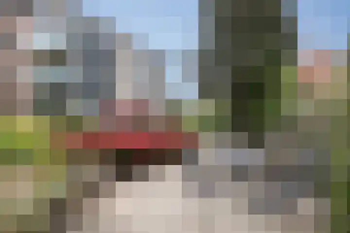 Florastate 4 Eindhoven thumbnail 29