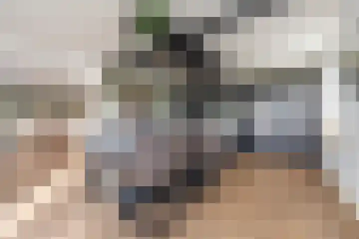 Florastraat 1 Boven-Leeuwen thumbnail 26