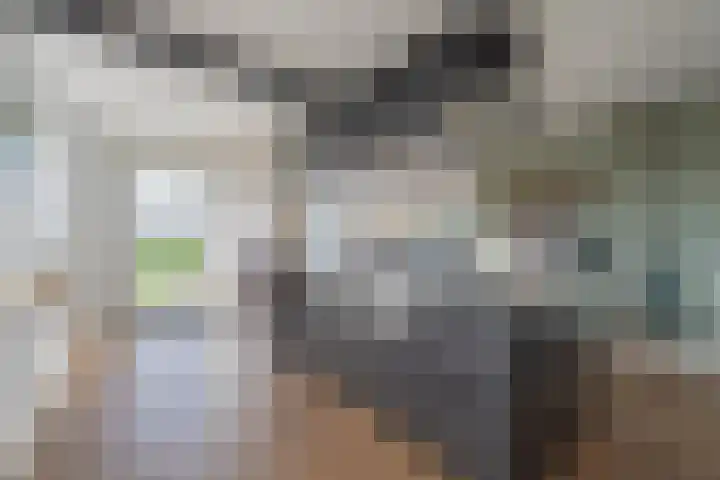 Florastraat 1 Boven-Leeuwen thumbnail 30