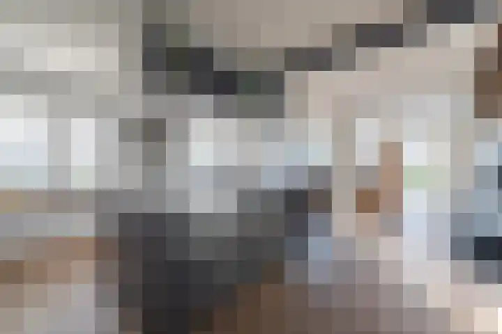 Florastraat 1 Boven-Leeuwen thumbnail 37