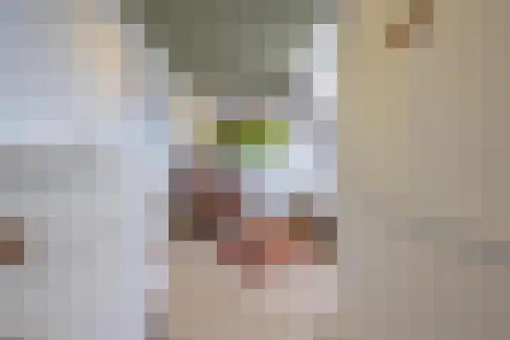 Florastraat 1 Boven-Leeuwen thumbnail 45