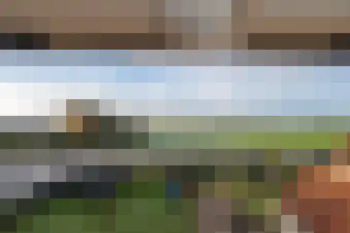 Florastraat 1 Boven-Leeuwen thumbnail 49