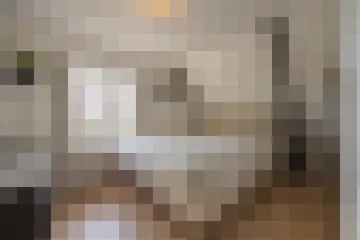 Florastraat 1 Boven-Leeuwen thumbnail 57