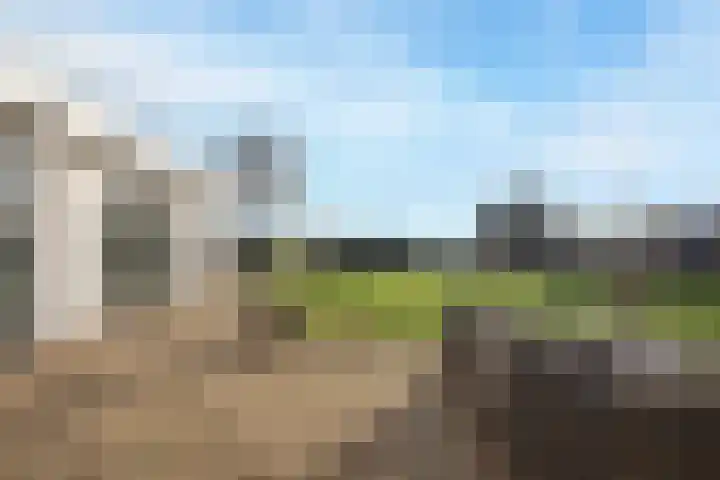 Florastraat 1 Boven-Leeuwen thumbnail 68