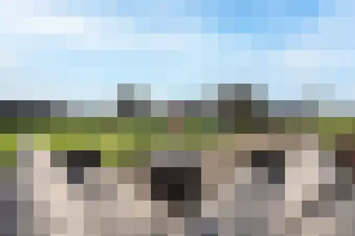 Florastraat 1 Boven-Leeuwen thumbnail 69