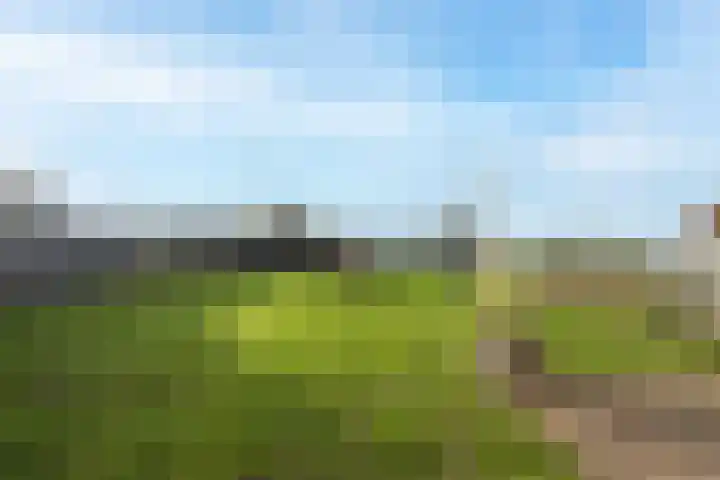 Florastraat 1 Boven-Leeuwen thumbnail 72
