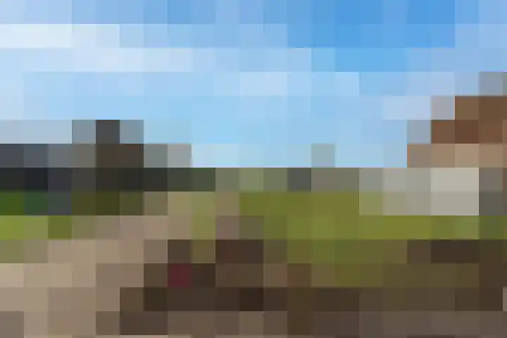 Florastraat 1 Boven-Leeuwen thumbnail 79