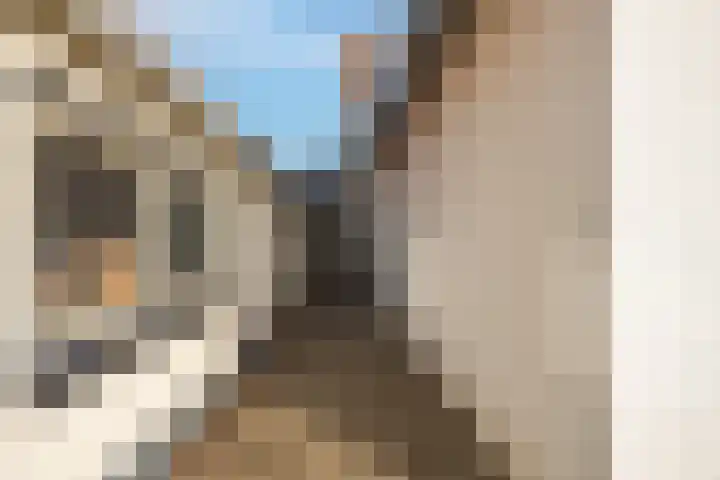Florastraat 1 Boven-Leeuwen thumbnail 82