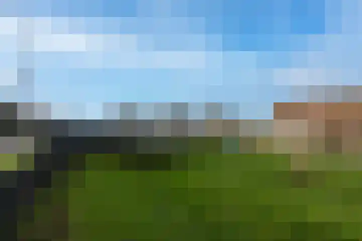 Florastraat 1 Boven-Leeuwen thumbnail 85