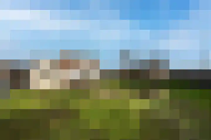 Florastraat 1 Boven-Leeuwen thumbnail 86