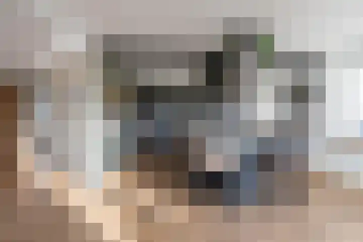 Florastraat 1 Boven-Leeuwen thumbnail 9