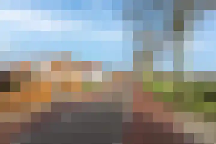 Florastraat 1 Boven-Leeuwen thumbnail 91