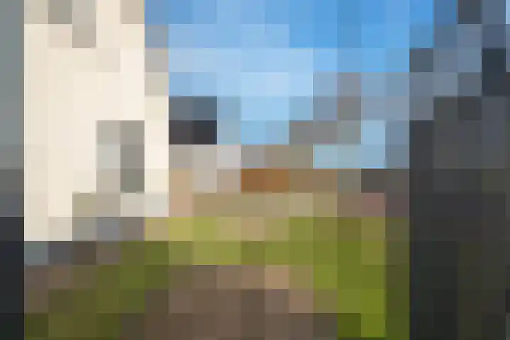 Florastraat 1 Boven-Leeuwen thumbnail 94